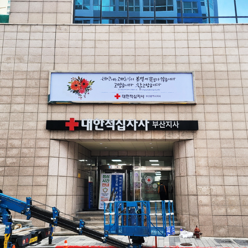대한적십자사